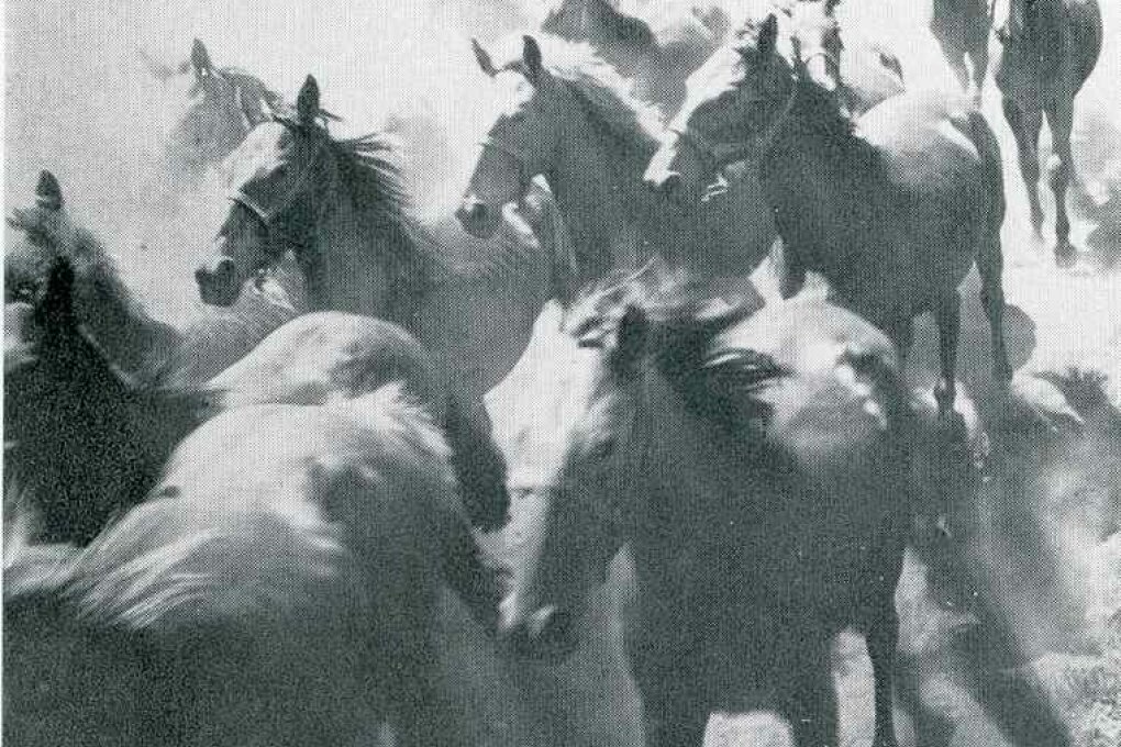 Pavel Dias – fotografie